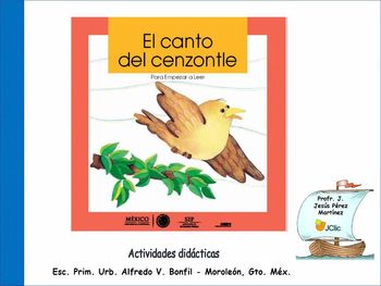 El canto del cenzontle