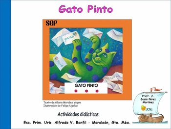 Gato Pinto