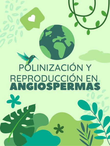 Polinización y reproducción en angiospermas